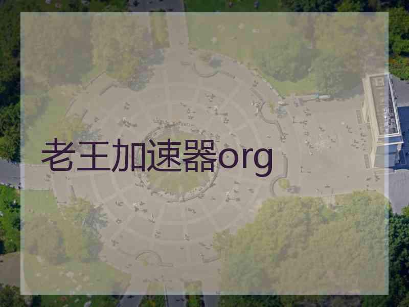老王加速器org