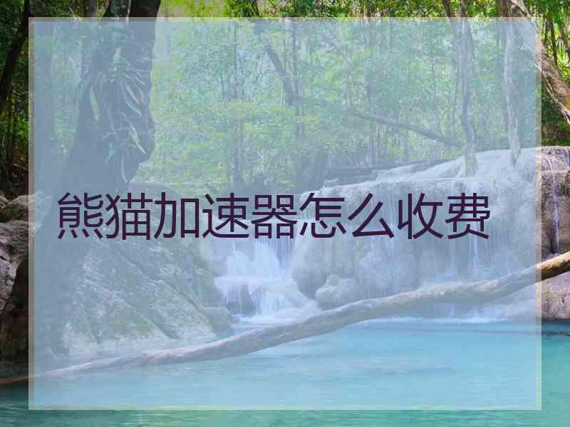 熊猫加速器怎么收费
