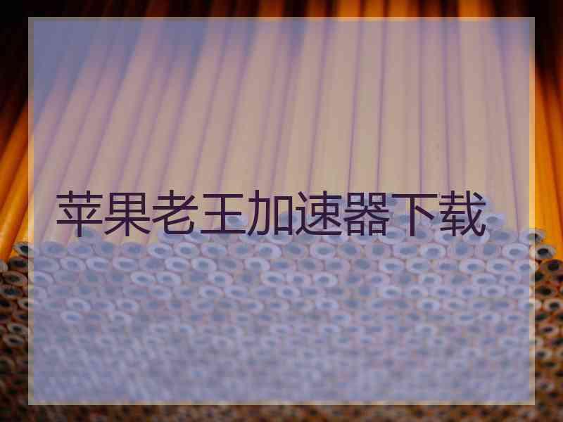 苹果老王加速器下载