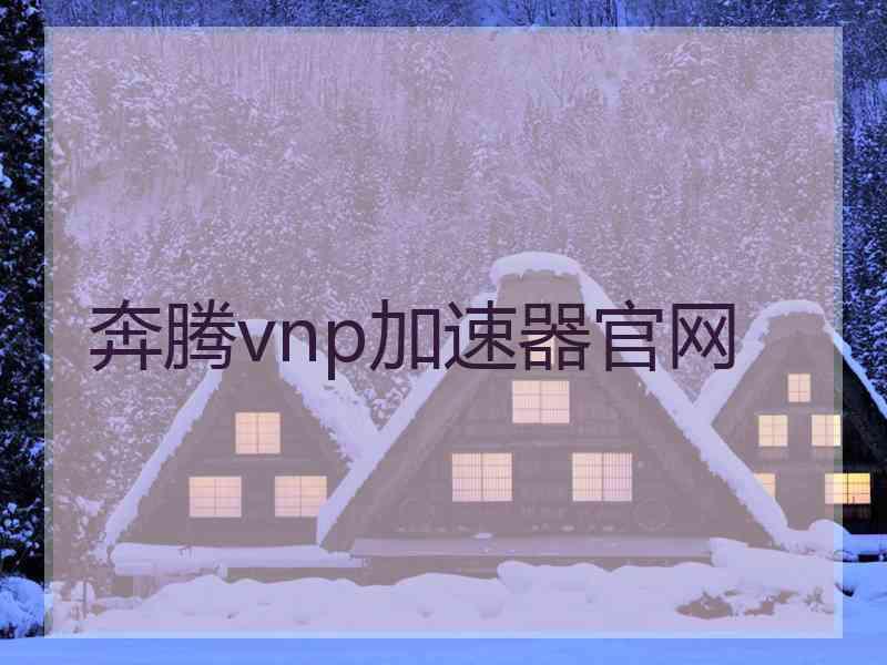 奔腾vnp加速器官网