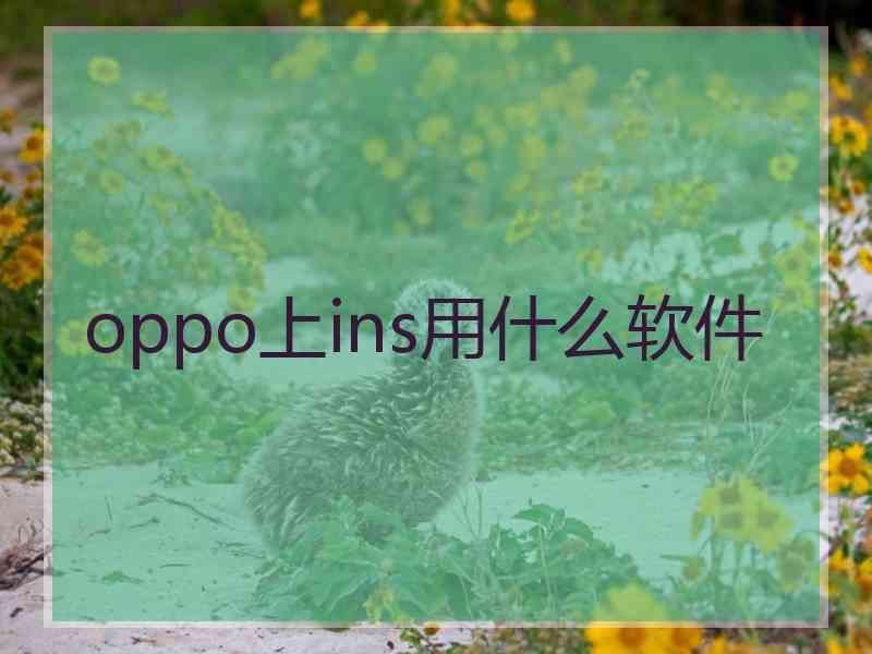 oppo上ins用什么软件