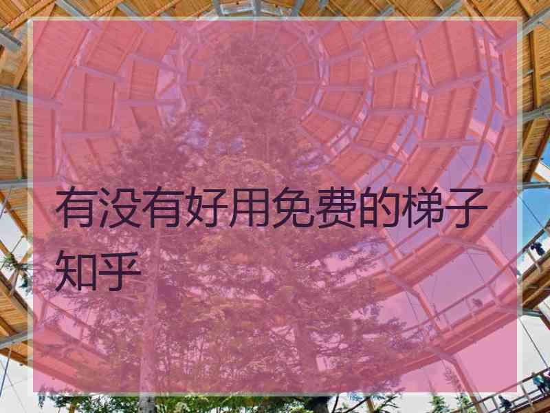 有没有好用免费的梯子 知乎