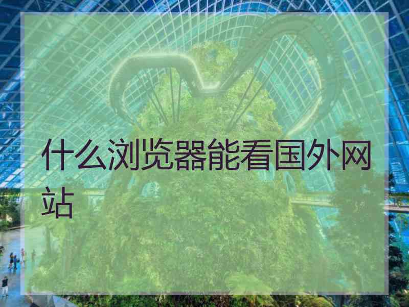 什么浏览器能看国外网站