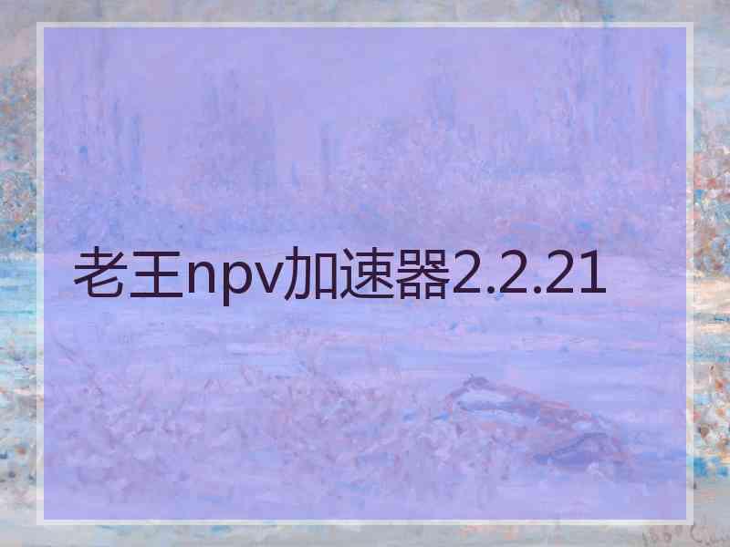 老王npv加速器2.2.21