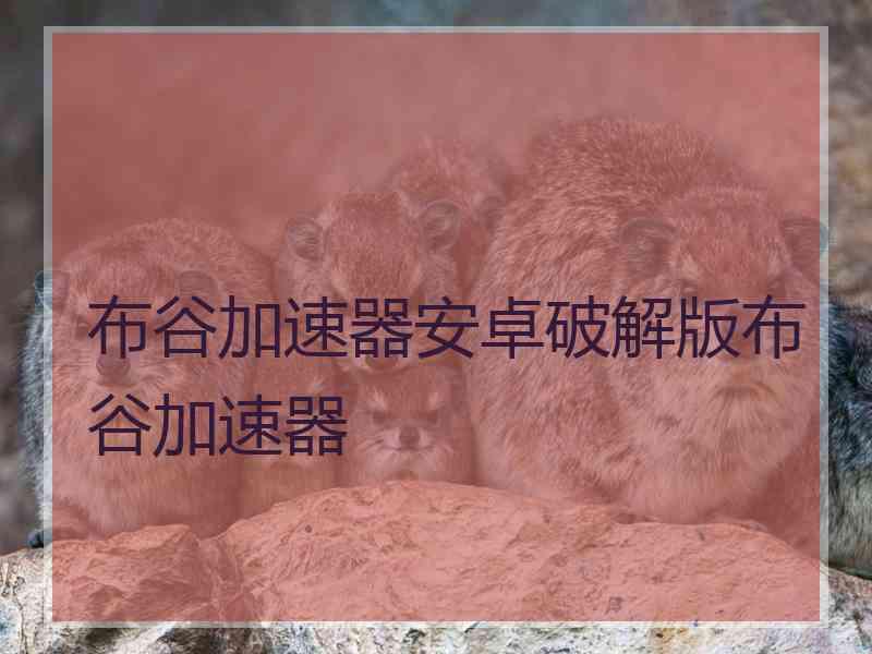 布谷加速器安卓破解版布谷加速器
