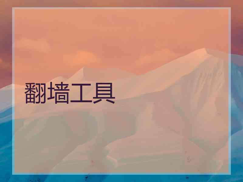 翻墙工具