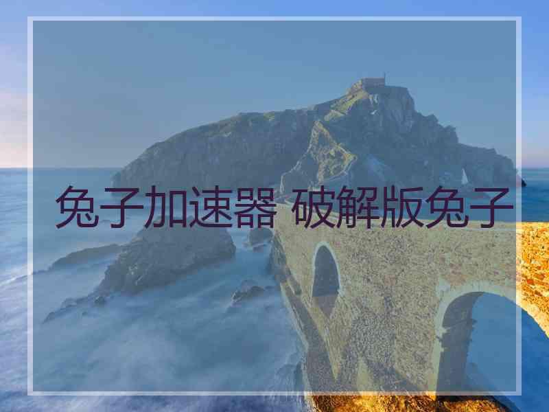 兔子加速器 破解版兔子