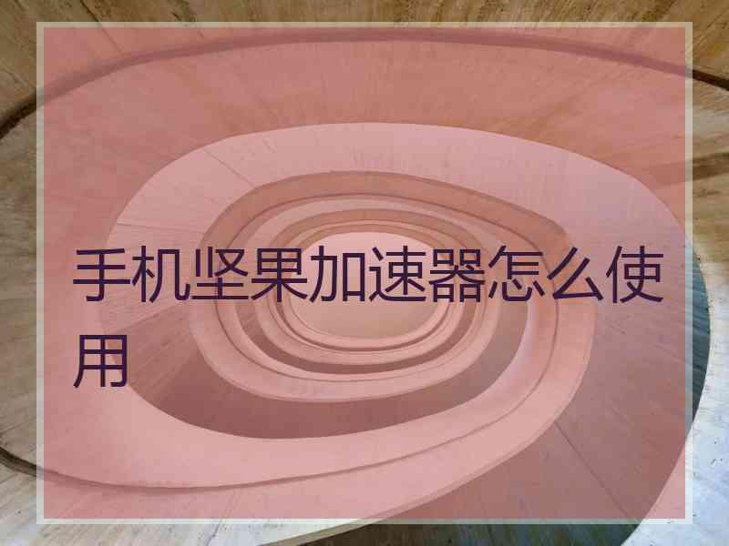 手机坚果加速器怎么使用