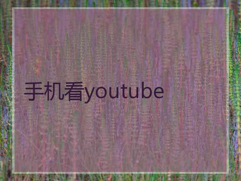 手机看youtube