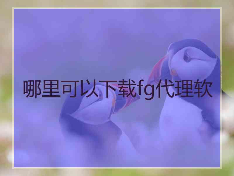 哪里可以下载fg代理软