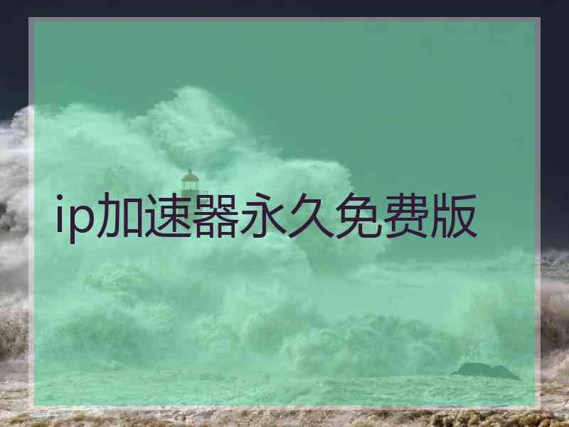 ip加速器永久免费版
