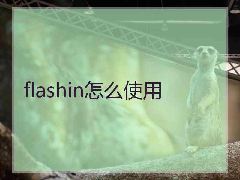 flashin怎么使用