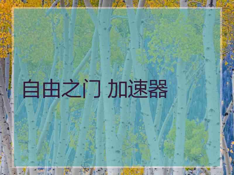 自由之门 加速器
