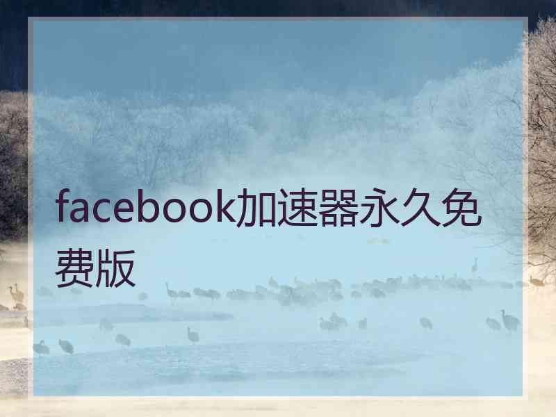 facebook加速器永久免费版