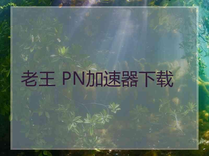 老王 PN加速器下载