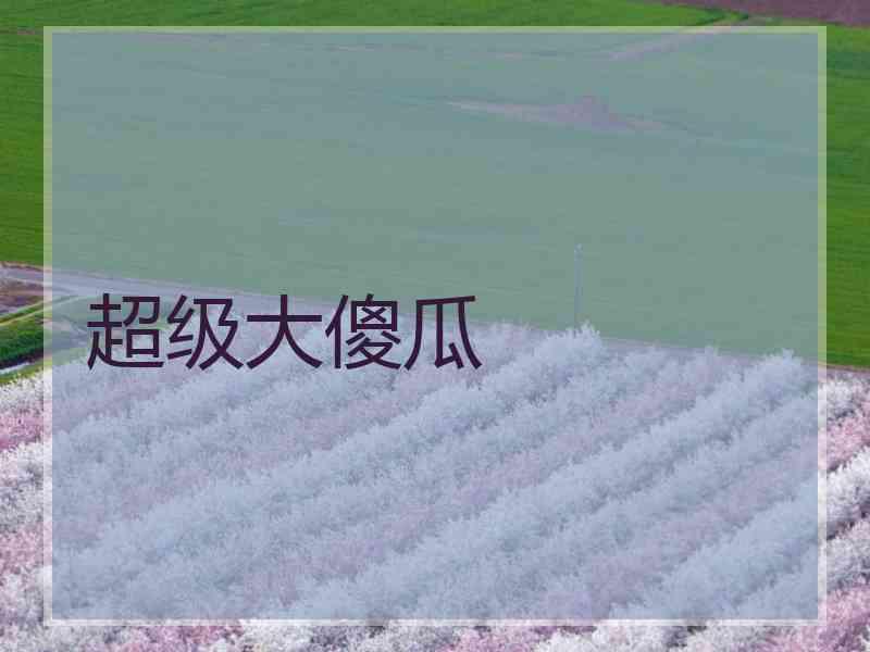 超级大傻瓜