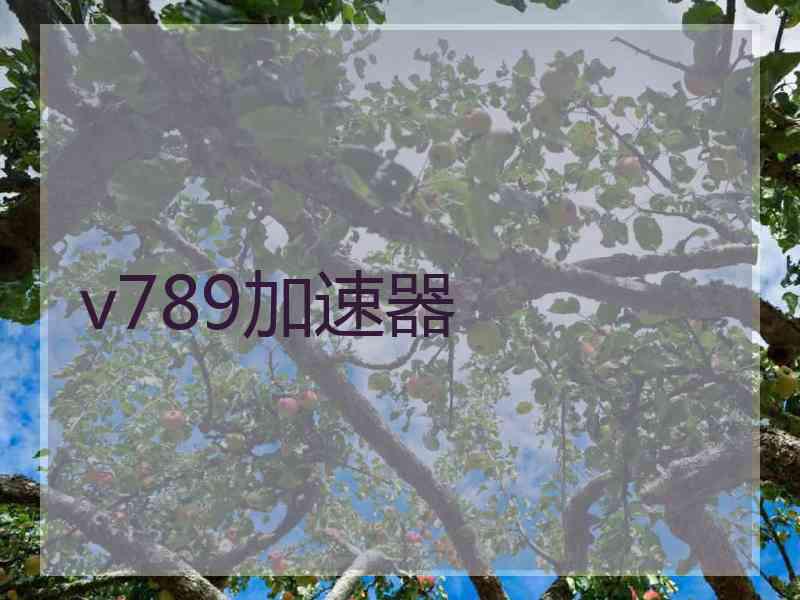 v789加速器