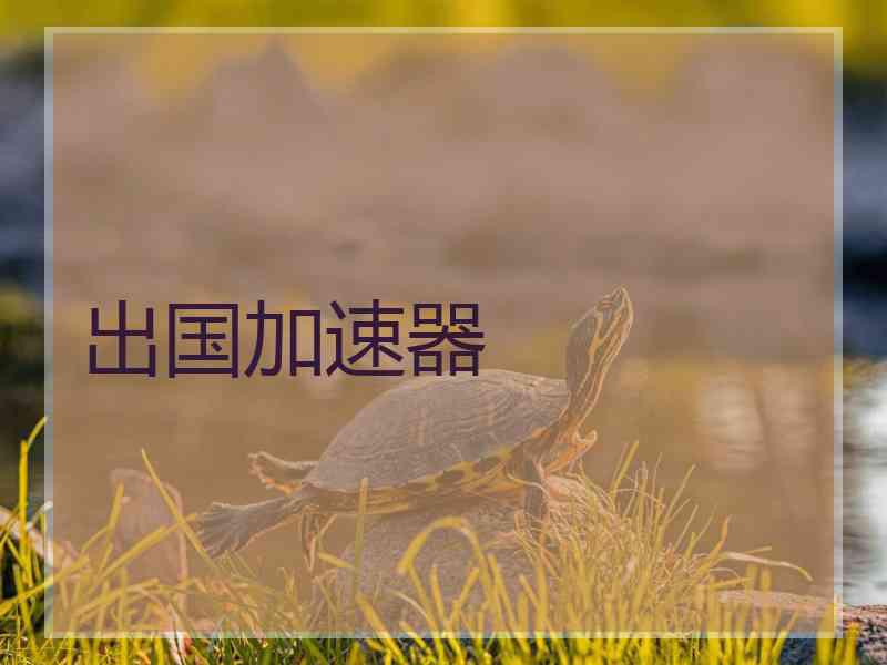 出国加速器
