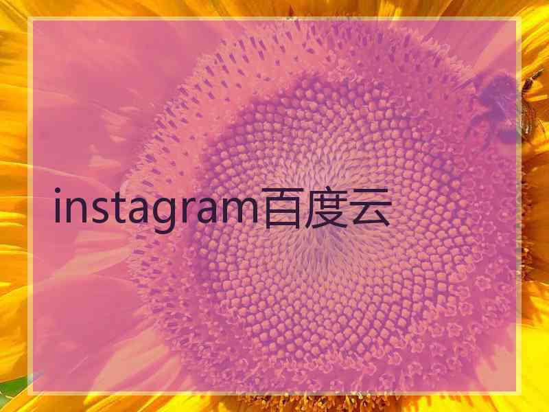 instagram百度云