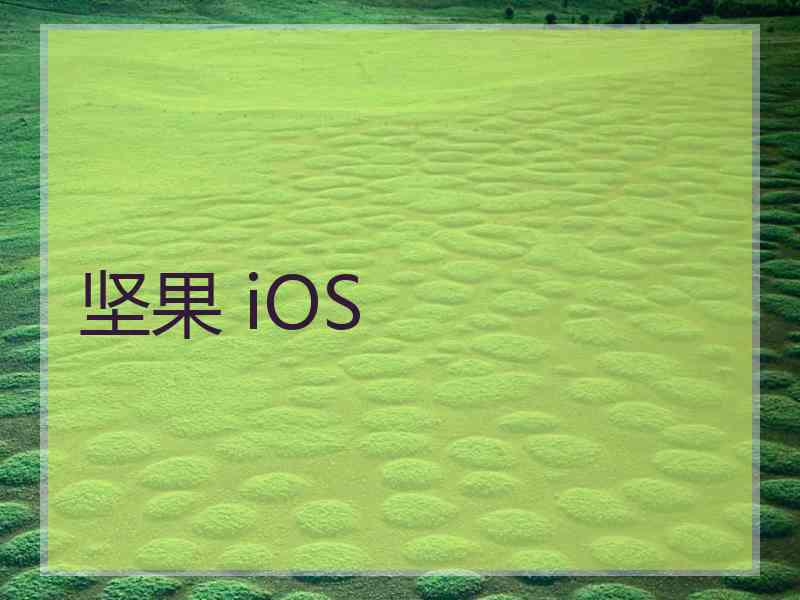 坚果 iOS