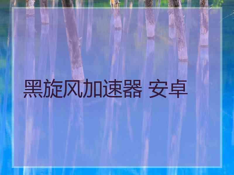 黑旋风加速器 安卓