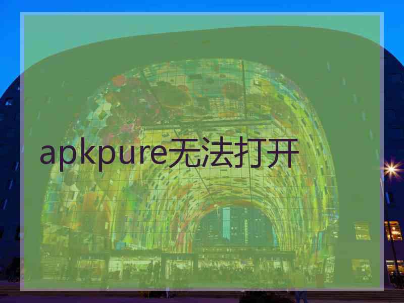 apkpure无法打开