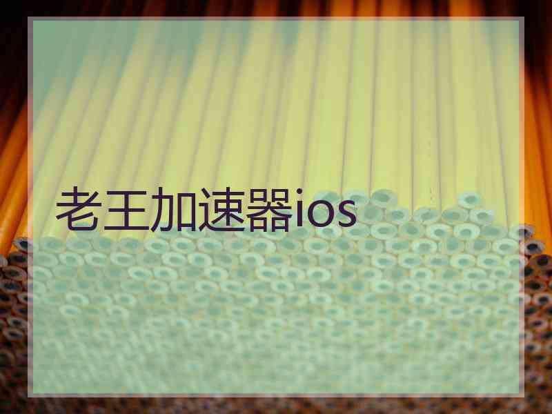 老王加速器ios
