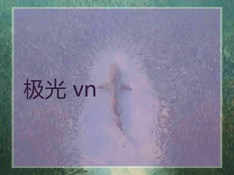极光 vn