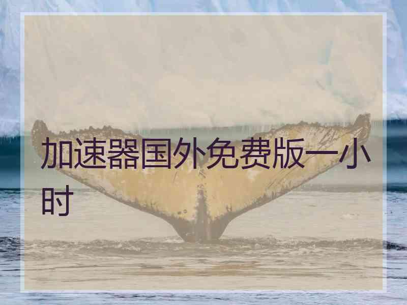 加速器国外免费版一小时