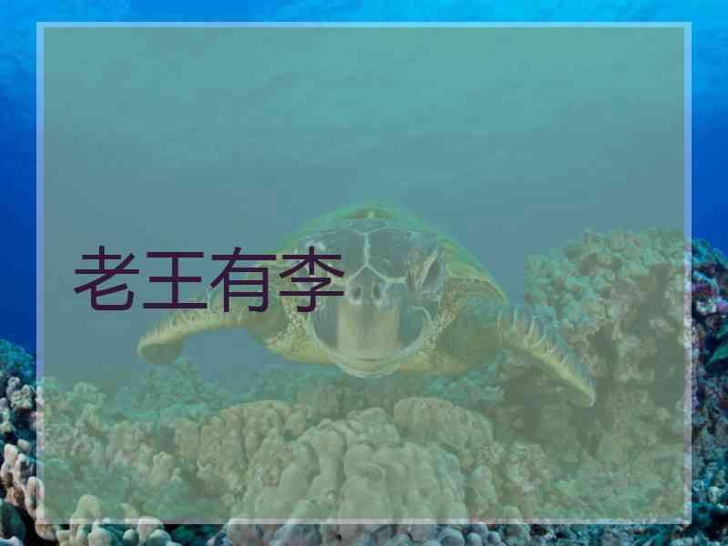 老王有李