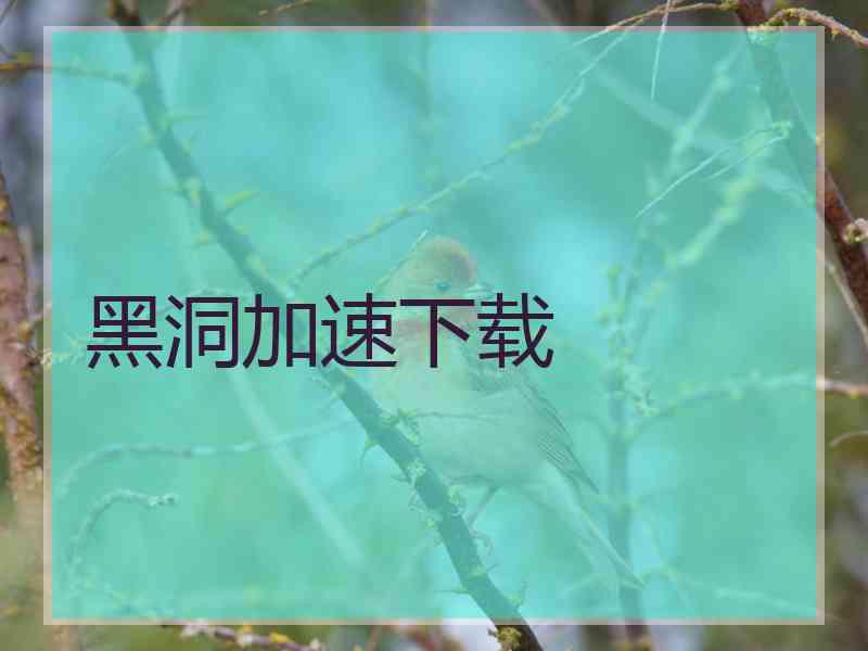 黑洞加速下载