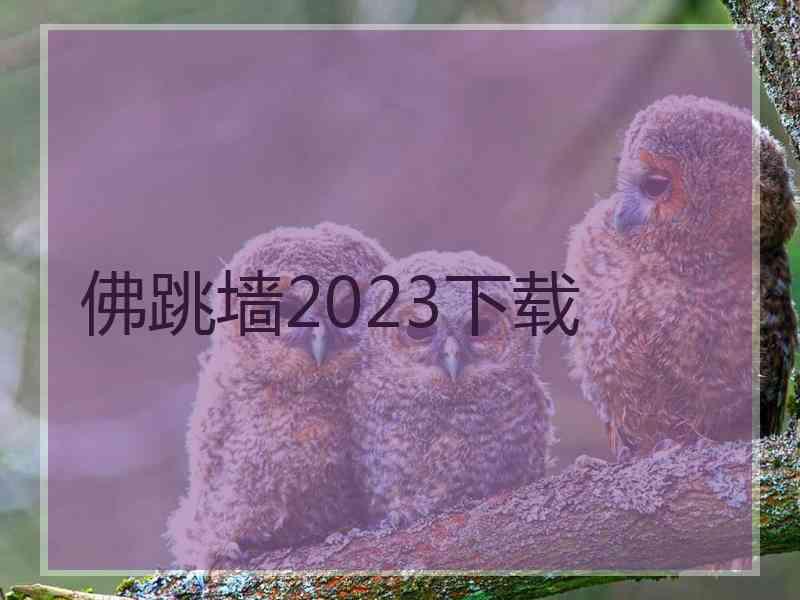 佛跳墙2023下载