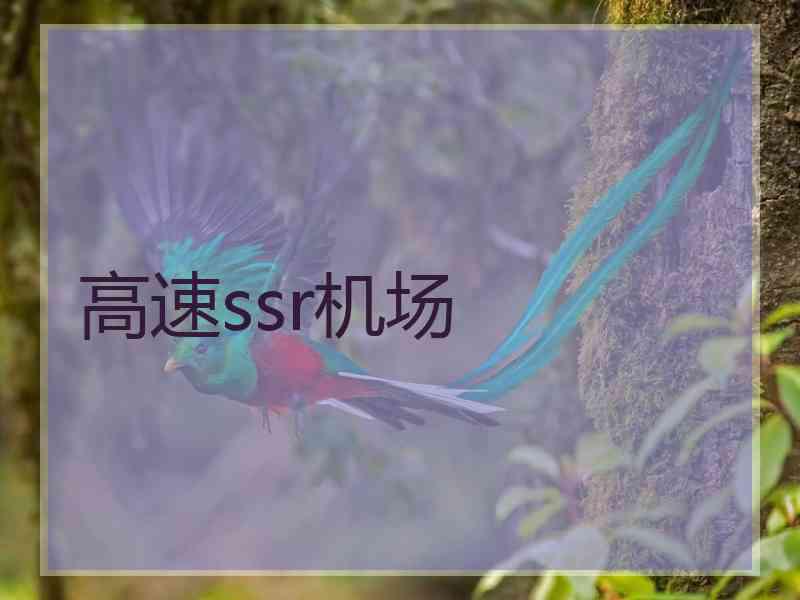 高速ssr机场