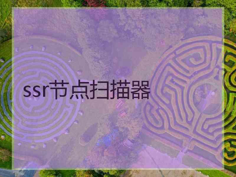 ssr节点扫描器