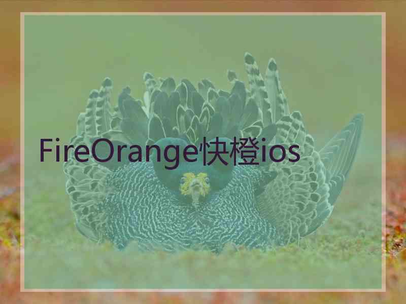 FireOrange快橙ios