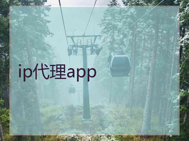 ip代理app