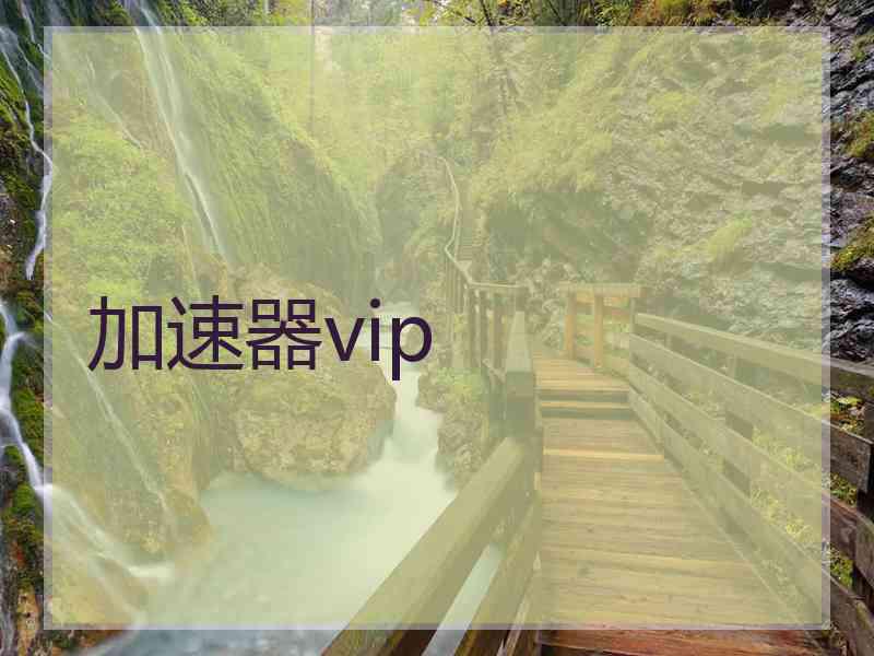加速器vip