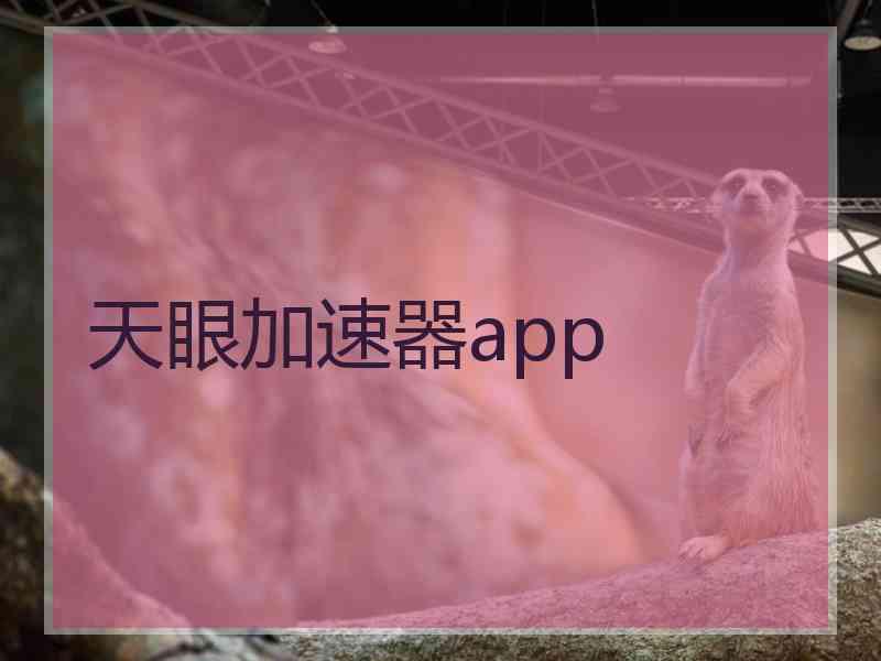 天眼加速器app