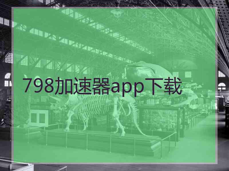 798加速器app下载