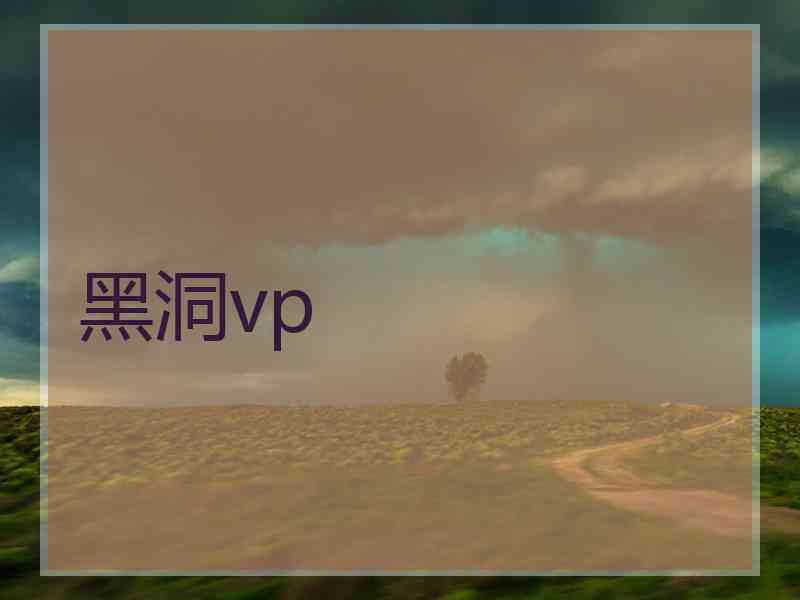 黑洞vp