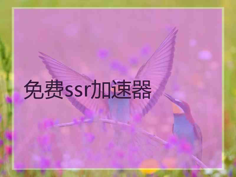 免费ssr加速器