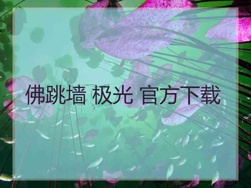 佛跳墙 极光 官方下载