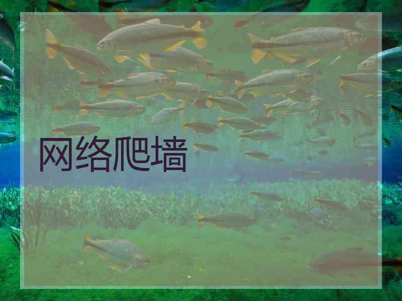 网络爬墙
