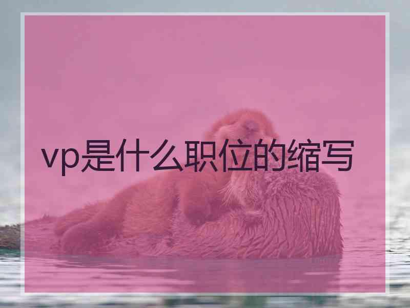 vp是什么职位的缩写