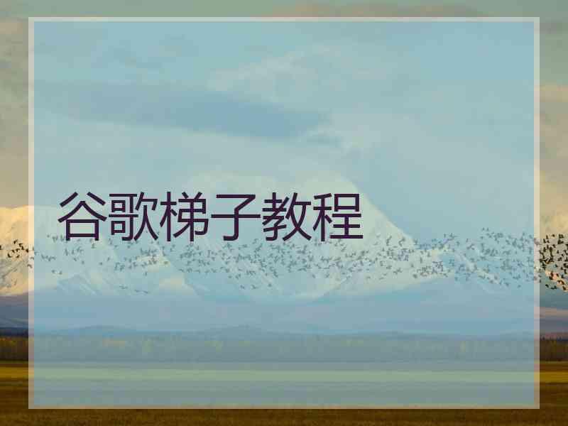 谷歌梯子教程