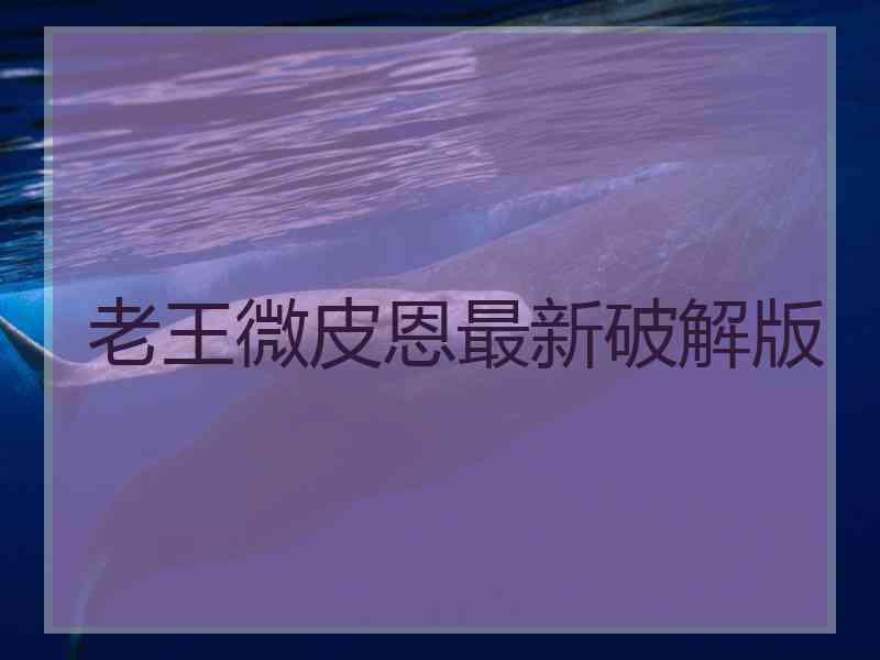 老王微皮恩最新破解版
