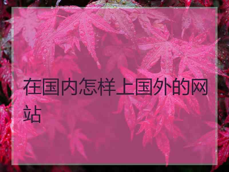 在国内怎样上国外的网站