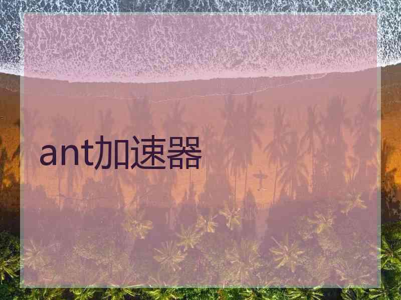 ant加速器
