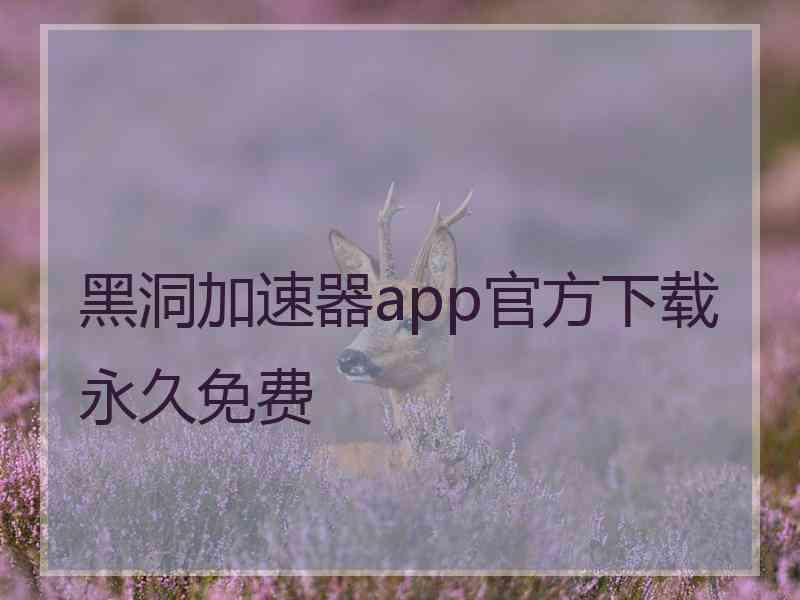 黑洞加速器app官方下载永久免费