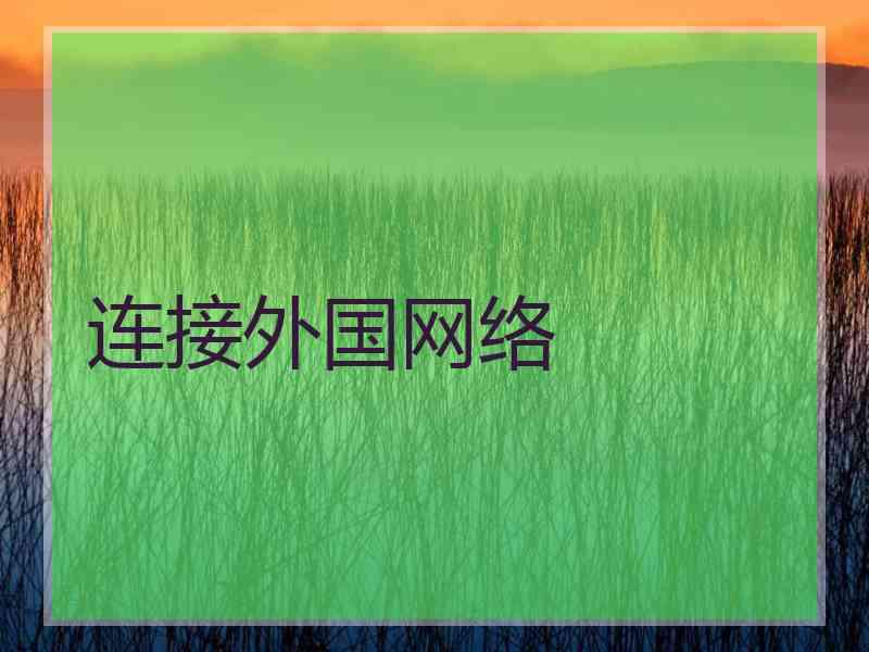 连接外国网络
